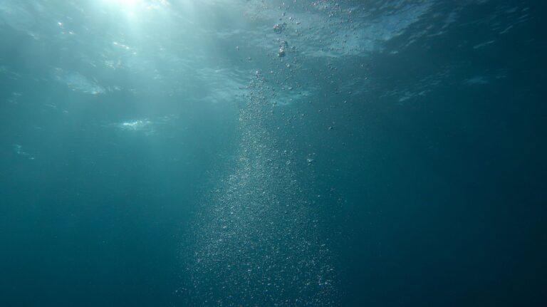 Deep Water Disaster Movie Review: Plane Crash Survivors Battle Sharks in New Film - Featured image