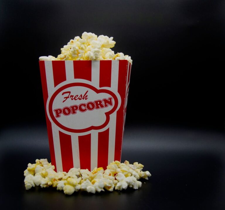 Grown Ups 2 Final Scene Explained - Featured image