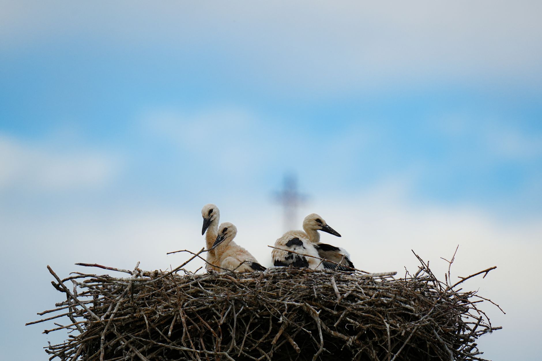 Storks Final Scene Explained - Featured image