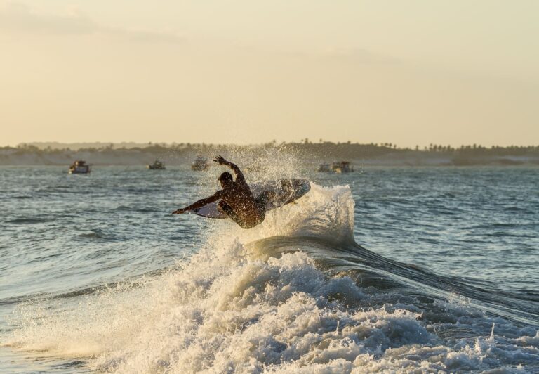 Surf's Up Action Sequence Breakdown - Featured image