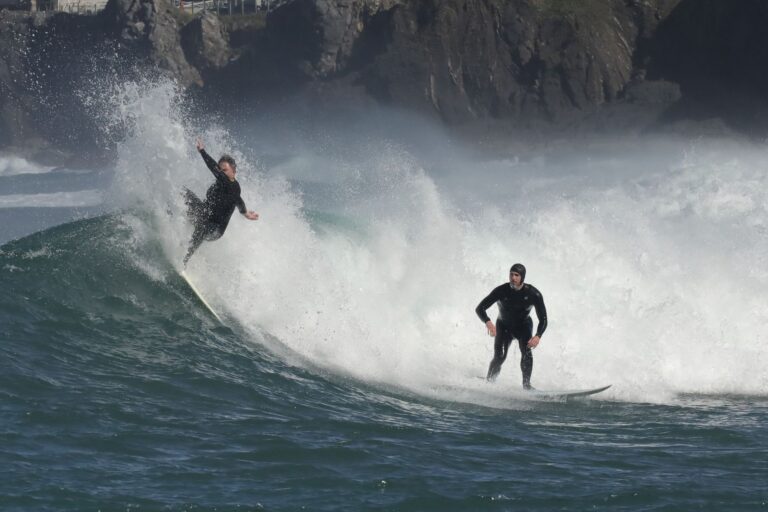 Surf's Up Final Scene Explained - Featured image