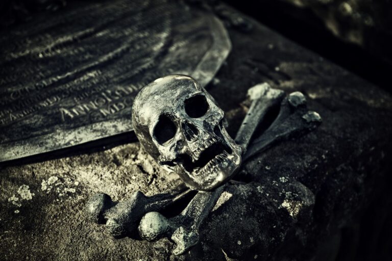 The Boxtrolls Death Scene Explained - Featured image