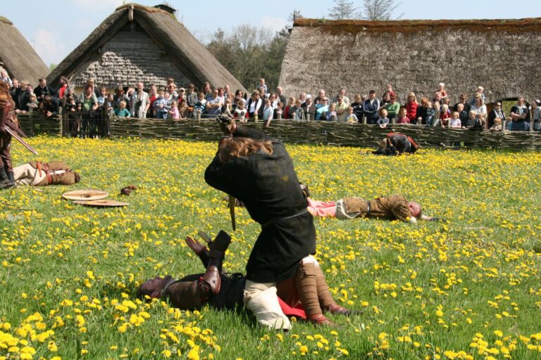 The Vikings Final Scene Explained - Featured image