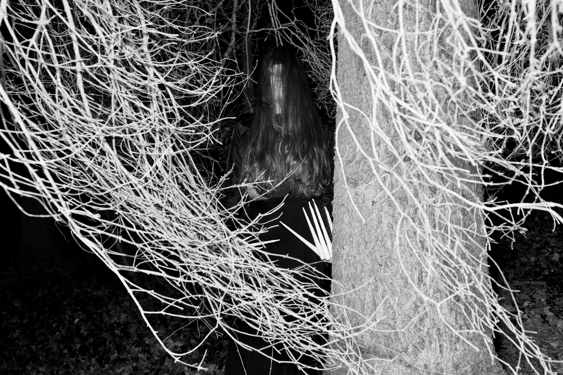 The Blair Witch Project: How Offscreen Space Becomes the Movie's Scariest Location - Featured image