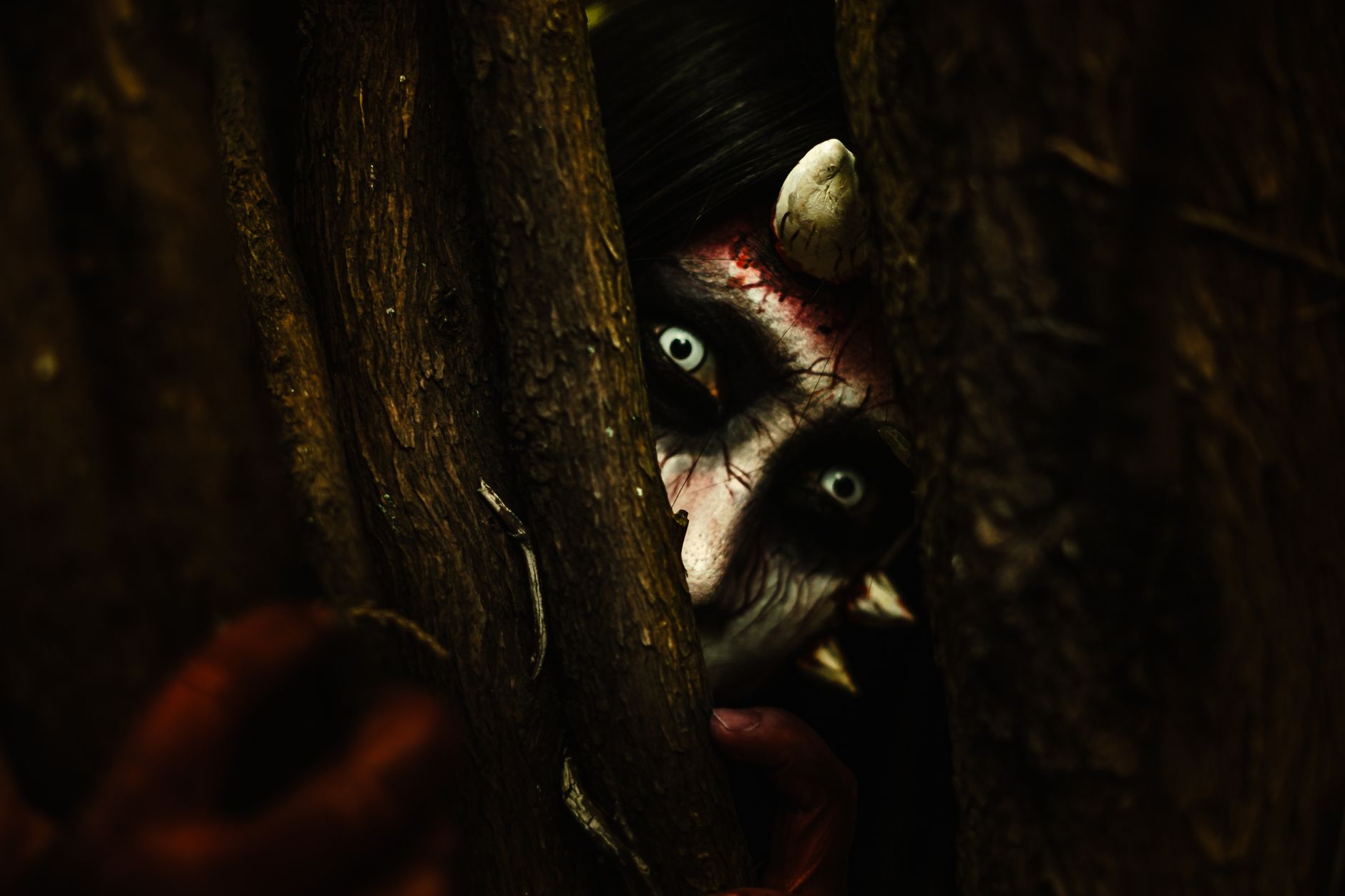 Coraline vs The Nightmare Before Christmas: Original and Reissue Box Office - Featured image