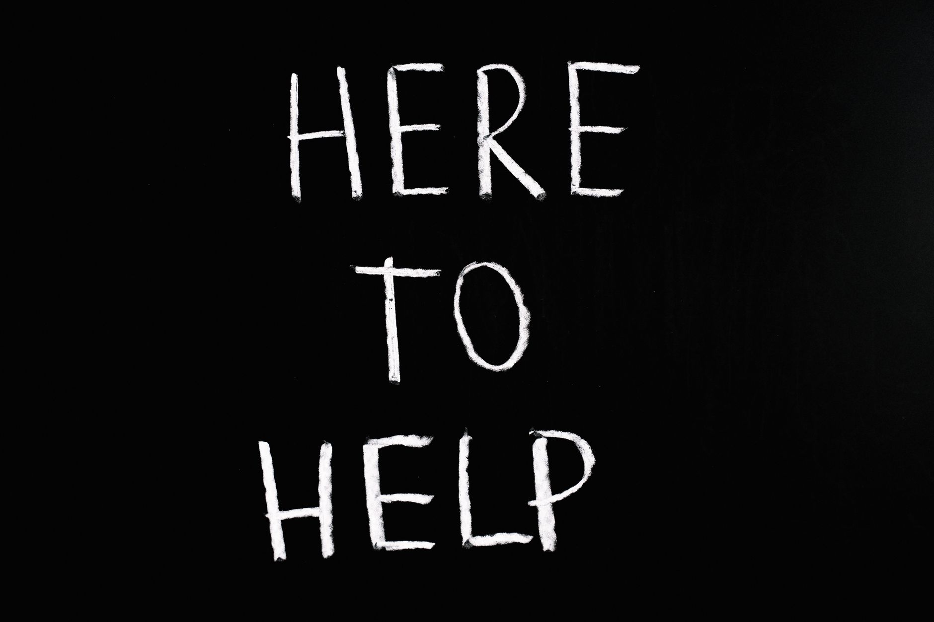 Send Help (2026) Box Office: Budget, Domestic and Worldwide Earnings - Featured image