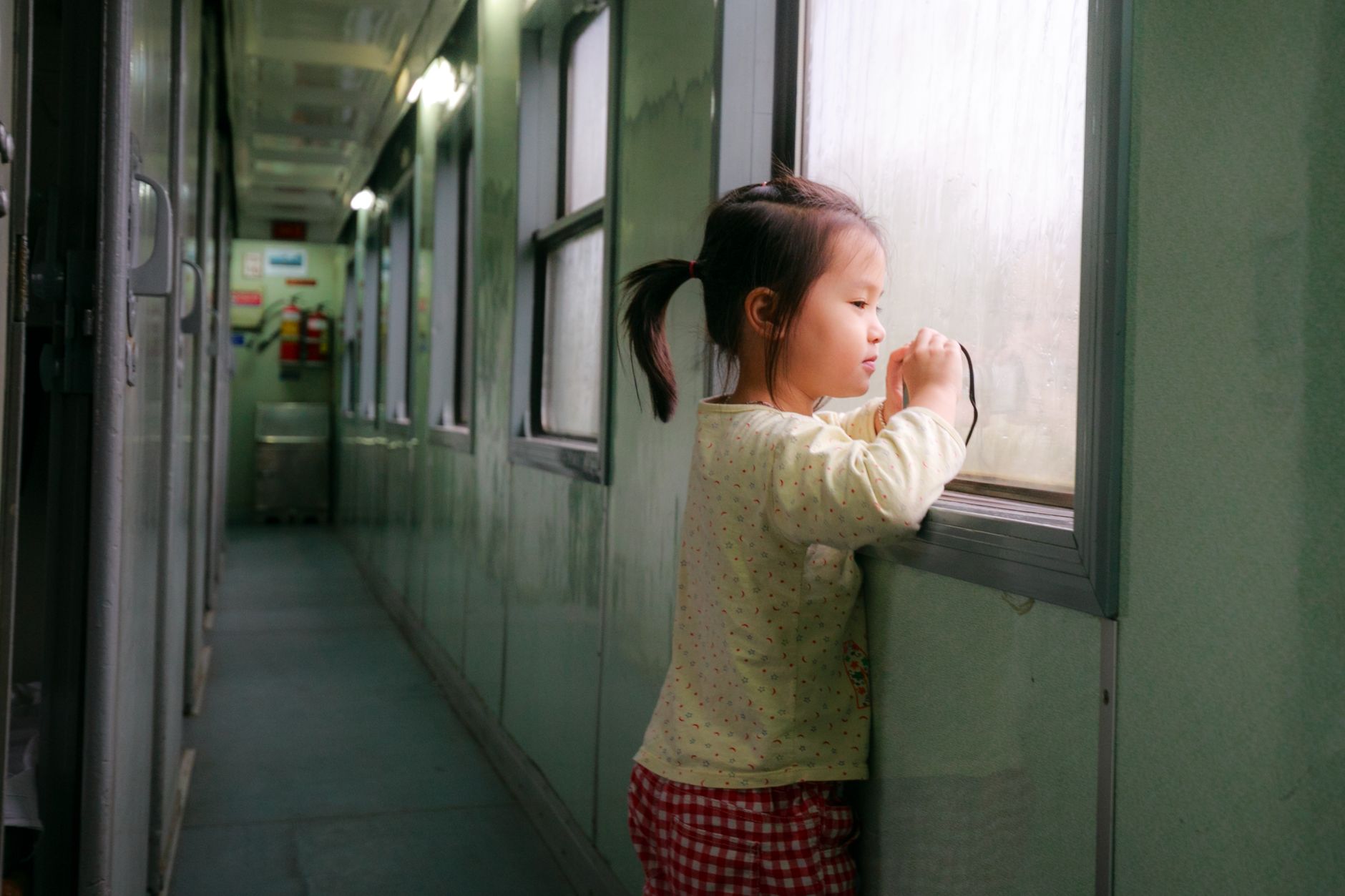 The Girl on the Train (2016) Box Office: Budget and Worldwide Earnings - Featured image