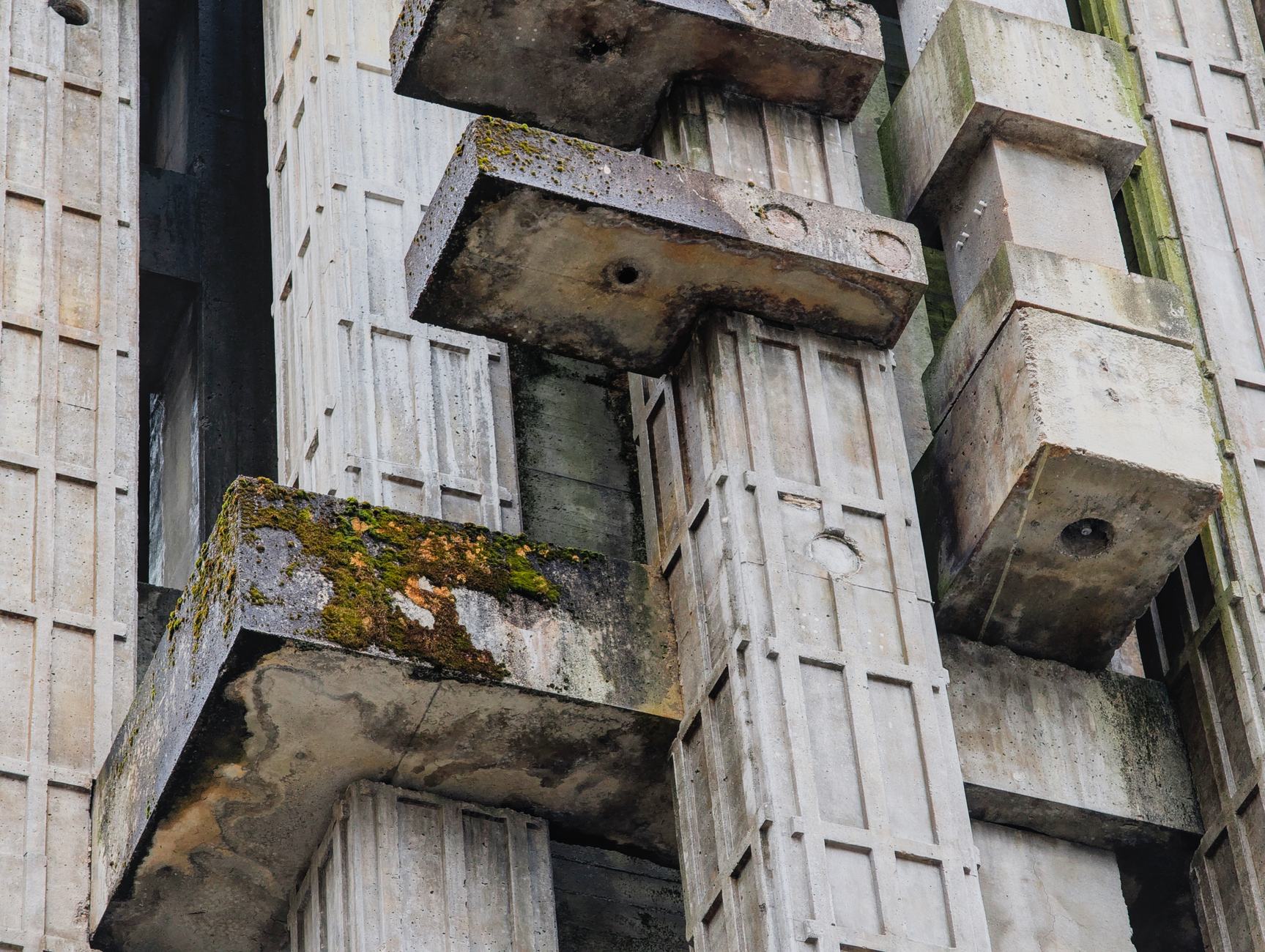 Where Can You Watch The Brutalist (2024)? Check Streaming, Rental, Purchase, and Legal Free Options - Featured image