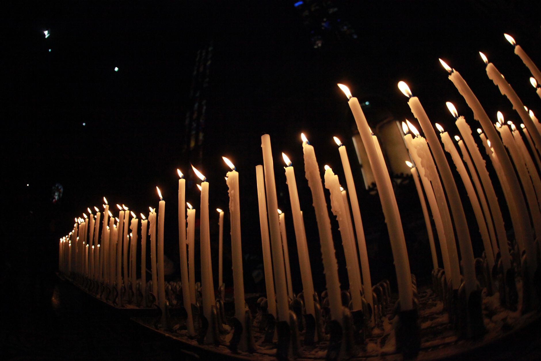 A row of lit candles glowing warmly in a dark setting, creating a serene atmosphere.