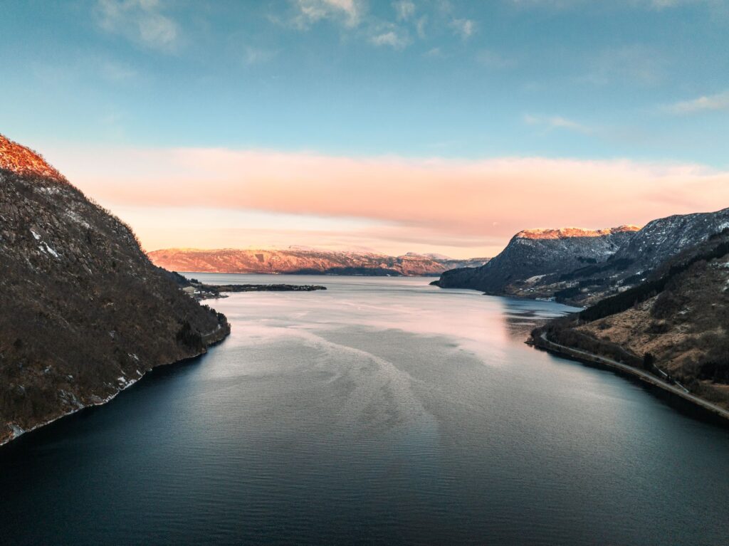 Identify Authors Where to Watch Fjord (2026): Movie Release and Streaming Updates - Find ...